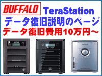 BUFFALO TeraStation データー救出の説明ページへのリンク
