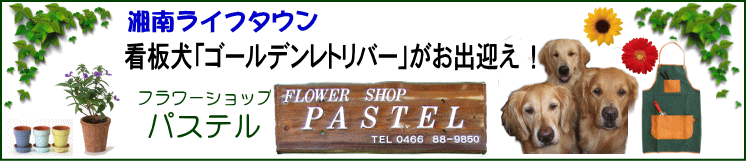 湘南ライフタウンのお花屋さん　パステル